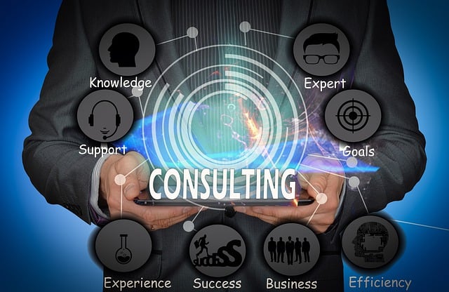 Serviços de Consultoria e Gestão de Projetos - preço sob consulta